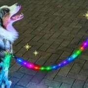 ヒメ日記 2026/03/05 20:12 投稿 志波 菜穂 30代40代50代と遊ぶなら博多人妻専科24時