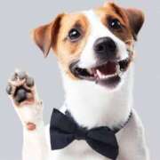 ヒメ日記 2026/04/08 12:50 投稿 志波 菜穂 30代40代50代と遊ぶなら博多人妻専科24時