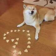 志波 菜穂 あしたね 30代40代50代と遊ぶなら博多人妻専科24時