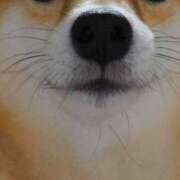 志波 菜穂 アップ 30代40代50代と遊ぶなら博多人妻専科24時