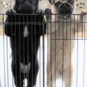 志波 菜穂 出勤です 30代40代50代と遊ぶなら博多人妻専科24時