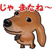 ヒメ日記 2026/06/27 18:46 投稿 志波 菜穂 30代40代50代と遊ぶなら博多人妻専科24時