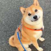 ヒメ日記 2026/08/16 17:36 投稿 志波 菜穂 30代40代50代と遊ぶなら博多人妻専科24時