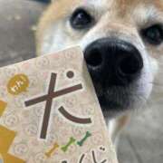 ヒメ日記 2026/09/27 11:32 投稿 志波 菜穂 30代40代50代と遊ぶなら博多人妻専科24時