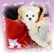 ヒメ日記 2025/05/18 13:03 投稿 あみ 吉野ケ里人妻デリヘル 「デリ夫人」