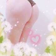 ヒメ日記 2025/05/20 18:09 投稿 あみ 吉野ケ里人妻デリヘル 「デリ夫人」