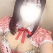 ヒメ日記 2024/12/29 16:34 投稿 にな アラカルト