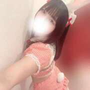 ヒメ日記 2025/04/08 07:15 投稿 にな アラカルト