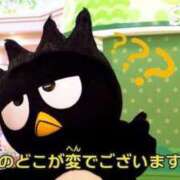 ヒメ日記 2025/05/06 13:58 投稿 にな アラカルト