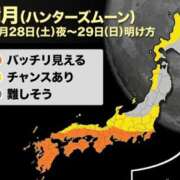 ヒメ日記 2023/10/28 23:47 投稿 ゆづき 奥鉄オクテツ兵庫