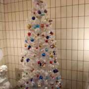 ヒメ日記 2024/12/17 13:10 投稿 入江 鶯谷デッドボール