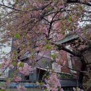 ヒメ日記 2025/03/09 09:29 投稿 入江 鶯谷デッドボール