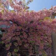 ヒメ日記 2025/03/21 11:49 投稿 入江 鶯谷デッドボール