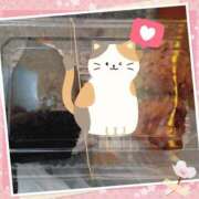 ヒメ日記 2025/03/31 12:49 投稿 入江 鶯谷デッドボール