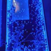 ヒメ日記 2025/04/03 10:39 投稿 入江 鶯谷デッドボール