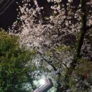 ヒメ日記 2025/04/12 09:33 投稿 入江 鶯谷デッドボール