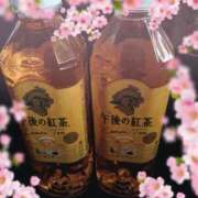 ヒメ日記 2025/04/28 10:19 投稿 入江 鶯谷デッドボール