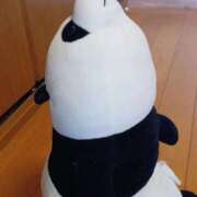 ヒメ日記 2025/09/02 09:39 投稿 入江 鶯谷デッドボール