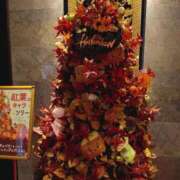 ヒメ日記 2025/11/01 10:09 投稿 入江 鶯谷デッドボール