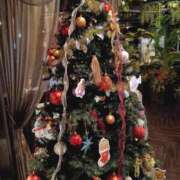 ヒメ日記 2025/11/17 14:49 投稿 入江 鶯谷デッドボール