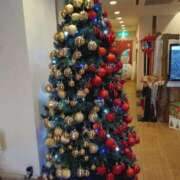 ヒメ日記 2025/12/05 10:19 投稿 入江 鶯谷デッドボール