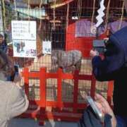 ヒメ日記 2026/01/26 09:39 投稿 入江 鶯谷デッドボール