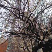 ヒメ日記 2026/03/10 14:20 投稿 入江 鶯谷デッドボール