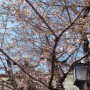 ヒメ日記 2026/03/21 15:39 投稿 入江 鶯谷デッドボール