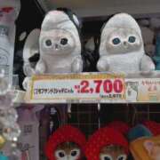 ヒメ日記 2026/04/22 10:26 投稿 入江 鶯谷デッドボール