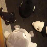 ヒメ日記 2026/04/29 19:59 投稿 入江 鶯谷デッドボール