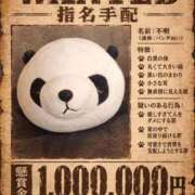 ヒメ日記 2026/08/04 10:10 投稿 入江 鶯谷デッドボール