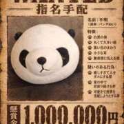ヒメ日記 2026/09/06 10:09 投稿 入江 鶯谷デッドボール