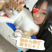 にいこ 朝からメロメロな飼い主とツンデレにゃんこ Candy×Candy （キャンディ×キャンディ）