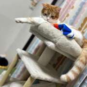 ヒメ日記 2025/12/13 06:39 投稿 にいこ Candy×Candy （キャンディ×キャンディ）