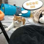 ヒメ日記 2026/02/21 06:40 投稿 にいこ Candy×Candy （キャンディ×キャンディ）