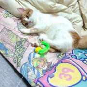 ヒメ日記 2026/03/14 06:43 投稿 にいこ Candy×Candy （キャンディ×キャンディ）