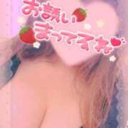 ヒメ日記 2025/03/01 11:15 投稿 しゅな 熟女の風俗最終章 町田店