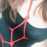 ヒメ日記 2025/06/20 10:30 投稿 しゅな 熟女の風俗最終章 町田店