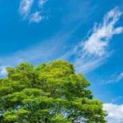 ヒメ日記 2025/01/12 11:41 投稿 ありさ 待ちナビ