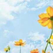 ヒメ日記 2025/04/04 19:45 投稿 ありさ 待ちナビ