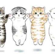 ヒメ日記 2025/05/11 22:35 投稿 ありさ 待ちナビ