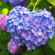 ヒメ日記 2025/06/16 15:58 投稿 ありさ 待ちナビ