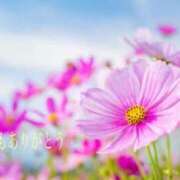 ヒメ日記 2025/10/14 16:25 投稿 ありさ 待ちナビ