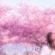 ヒメ日記 2026/03/09 23:21 投稿 ゆり ぽちゃ・巨乳専門店　太田足利ちゃんこ