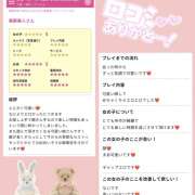 ヒメ日記 2025/11/24 17:29 投稿 愛川めい ニューハーフヘルスxoxokiss キスキスキス西船橋・千葉