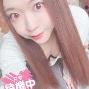 ヒメ日記 2026/04/02 18:22 投稿 愛川めい ニューハーフヘルスxoxokiss キスキスキス西船橋・千葉