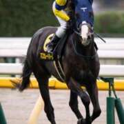 ヒメ日記 2024/12/27 21:08 投稿 しおん 熟女の風俗最終章 池袋店