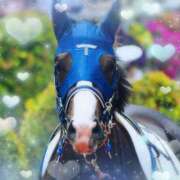 ヒメ日記 2025/05/30 15:03 投稿 しおん 熟女の風俗最終章 池袋店