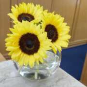 ヒメ日記 2025/07/15 12:22 投稿 しおん 熟女の風俗最終章 池袋店