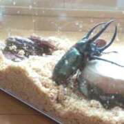 ヒメ日記 2025/09/30 18:07 投稿 しおん 熟女の風俗最終章 池袋店